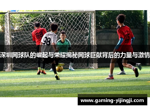 深圳网球队的崛起与荣耀揭秘网球巨献背后的力量与激情