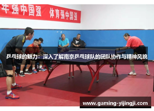 乒乓球的魅力：深入了解南京乒乓球队的团队协作与精神风貌
