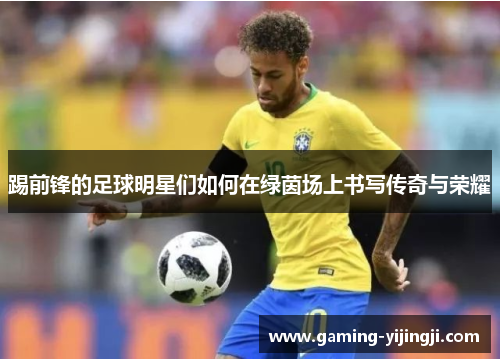 踢前锋的足球明星们如何在绿茵场上书写传奇与荣耀
